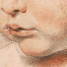 Attēlu rezultāti vaicājumam “Collaria rubens”