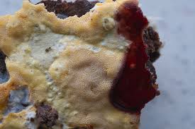 Attēlu rezultāti vaicājumam “Ceriporia”