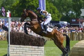 Image result for Colne Badminton Club