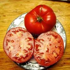 Afbeeldingsresultaat voor stump of the world tomato