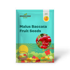 Attēlu rezultāti vaicājumam “Malus baccata fruit”