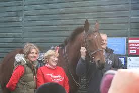 Image result for Scottish Equi Complex