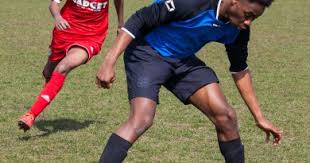 Image result for Ockley Acorns Junior F C