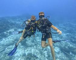 Resultado de imagen para cozumel dive