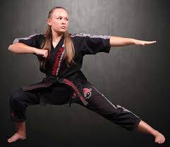 Image result for Northern Freestyle Karate Association