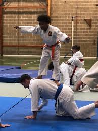 Image result for Moonraker Judo Club