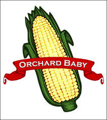 Afbeeldingsresultaat voor kosmonaut volkov 68D tomato