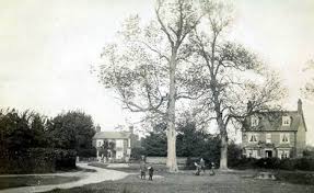 Image result for Chesham 1879