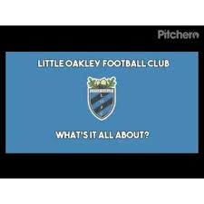 Image result for Ockley Acorns Junior F C