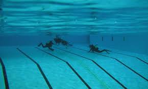 Image result for Calshot Sub-Aqua Club