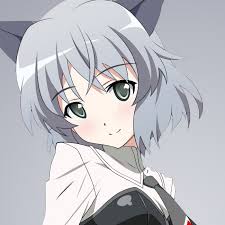 「サーニャ・V・リトヴャク ストライクウィッチーズ」の画像検索結果