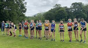 Image result for Bingley Harriers & Athletics Club