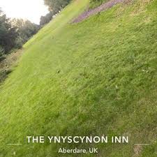 Image result for Mountain Ash Golf Club