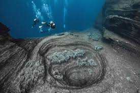 Image result for Canary Divers