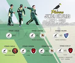 Image result for Morpeth Junior Cricket Club
