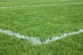 Image result for Burnt Ash Hockey Club