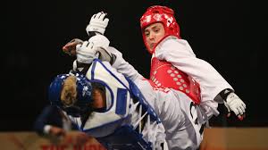 Image result for Park Place Olympic Tkd