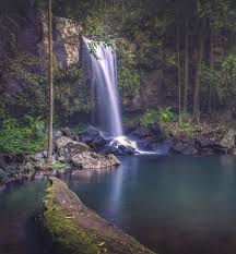 「Mt. Tamborine」的圖片搜尋結果