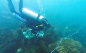 Image result for Luton British Sub Aqua Club