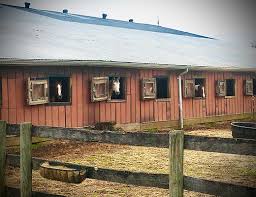 Image result for Ecurie Barnton