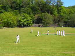 Image result for Bridport Cricket Club