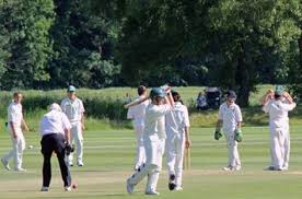 Image result for Broadstone Cricket Club