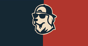 Image result for Runnymede Rascals Cricket Club