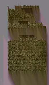 Attēlu rezultāti vaicājumam “Didymium xanthopus stalked”