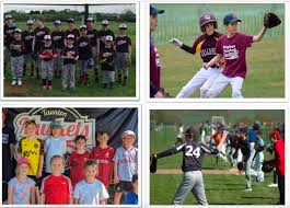 Image result for Norwich Iceni Baseball Club