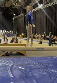 Image result for Tamworth Olympic Gymnastics Club
