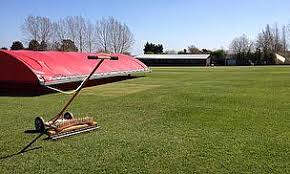 Image result for Kingsley Cricket Club