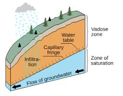 Image result for The Eau Zone