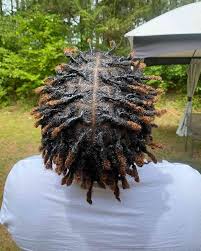Image result for dreads