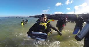 Image result for Breakwater Divers