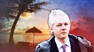 Image result for julian assange