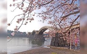 Image result for Bushiki Kwai