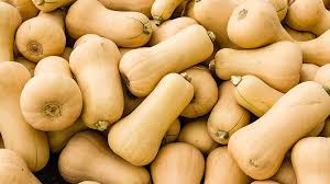 Image result for Kürbis