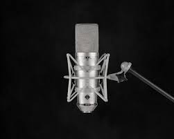 Image result for silver sa