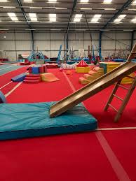 Image result for Swallows Trampoline Club
