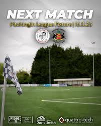 Image result for Needham Market Football Club