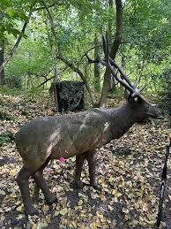 Image result for Long Eaton Field Archery Club