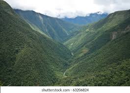 Výsledek obrázku pro yungas