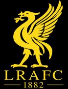 Image result for Liverpool Lizards Speedminton Club