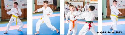 Image result for Tsunami Karate Club