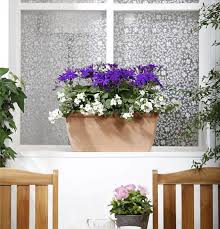 Image result for Marienglockenblumen