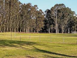 Image result for Chipping Norton Rugby Football Club