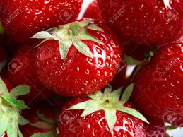 Attēlu rezultāti vaicājumam “Fragaria moschata”