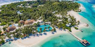 「フィン・エ・ルド・シ・ディセルマイ」の画像検索結果