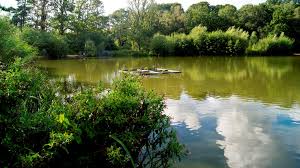 Image result for Guildford Angling Society