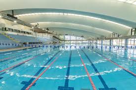 Image result for Belgrave Swimming Club